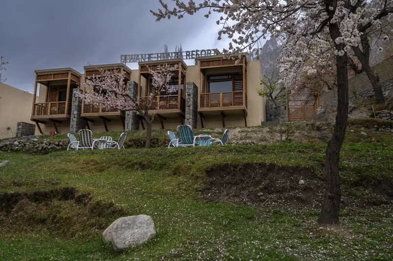 Apricot trees in blossom in front of the Diwan e Hunza lodges